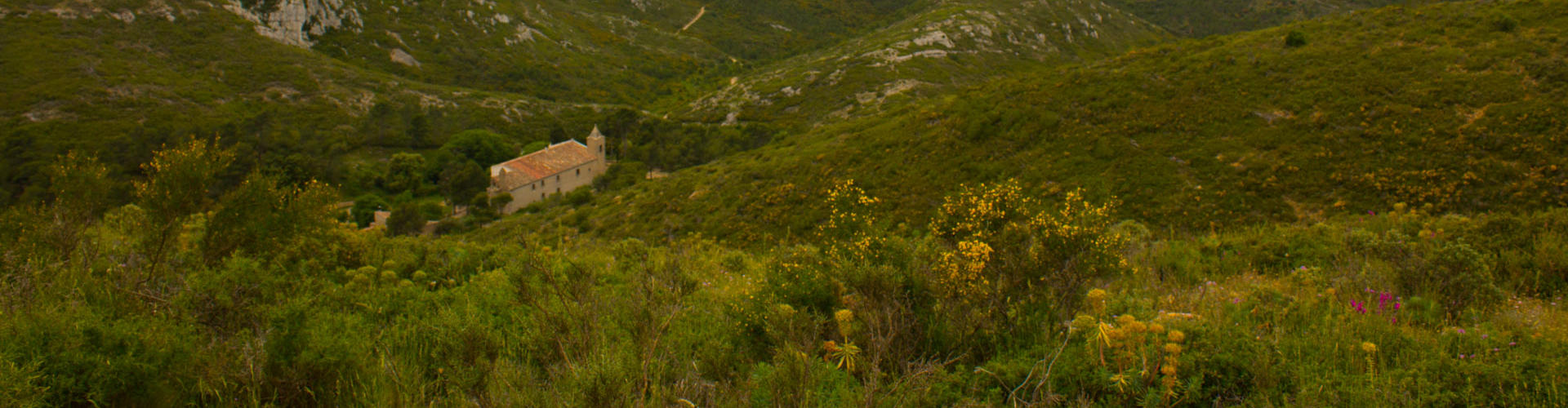 Santa Caterina i castell de Montgrí